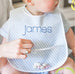 Blue Gingham Laminated Bib